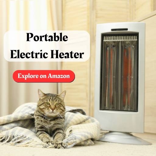 portable electric heater