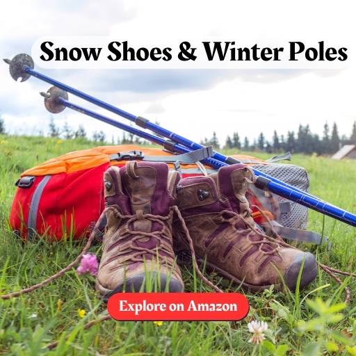 snow shoes and winter poles